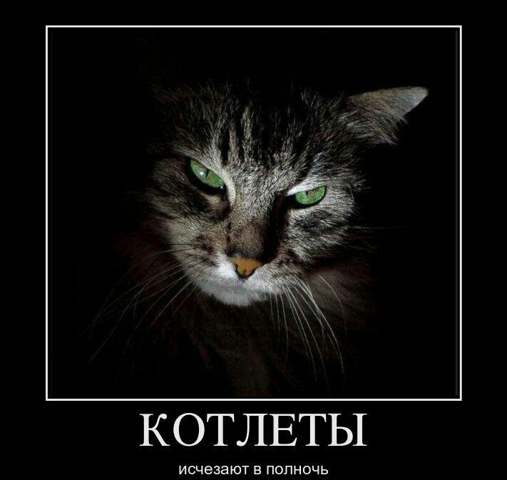 КОТЛЕТЫ ИСЧБЗЗЮТ Е ПОПНОЧЬ