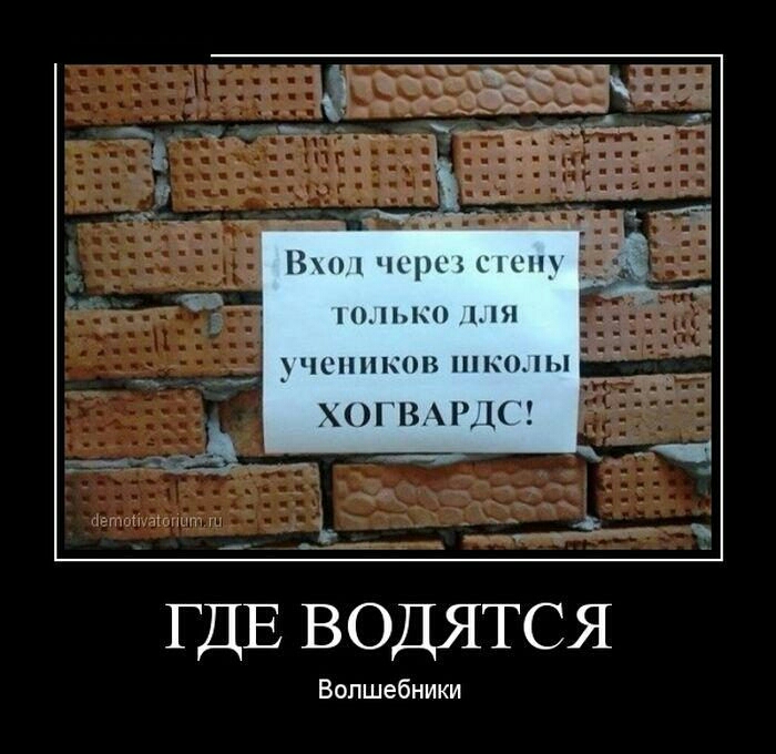 щ _ В чер спс щ 010 1_Н _ ушншши шко пы ХОГВАРДК ГДЕ ВОДЯТСЯ Волшебники