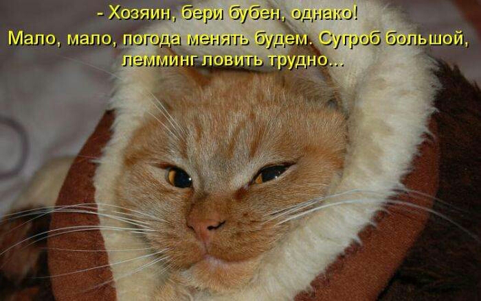 шопа мшгь буд О А шой ЧМ леммы