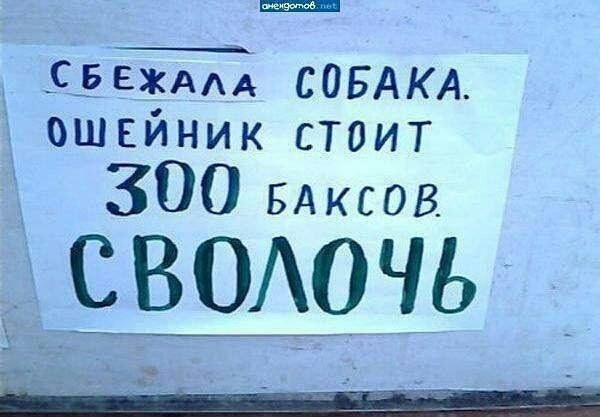ЦвиА СОБАКА ошейник стоит 300 иксов ЁЁШОЧБ