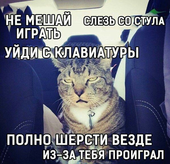 НЕ МЕШАИ елвзь СТгУЛА игРАТПЬіЦ ВЕЗДЕ И3 ЗА ТЕБЯ ПРОИГРАЛ