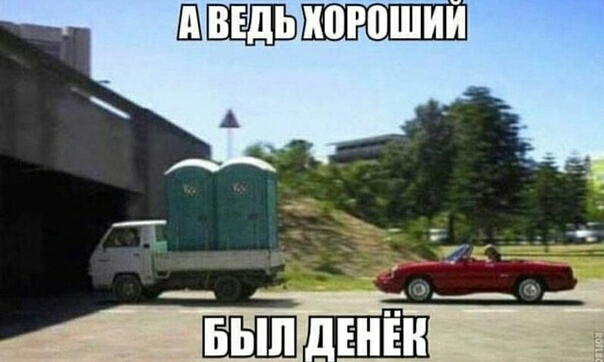 шикогошип