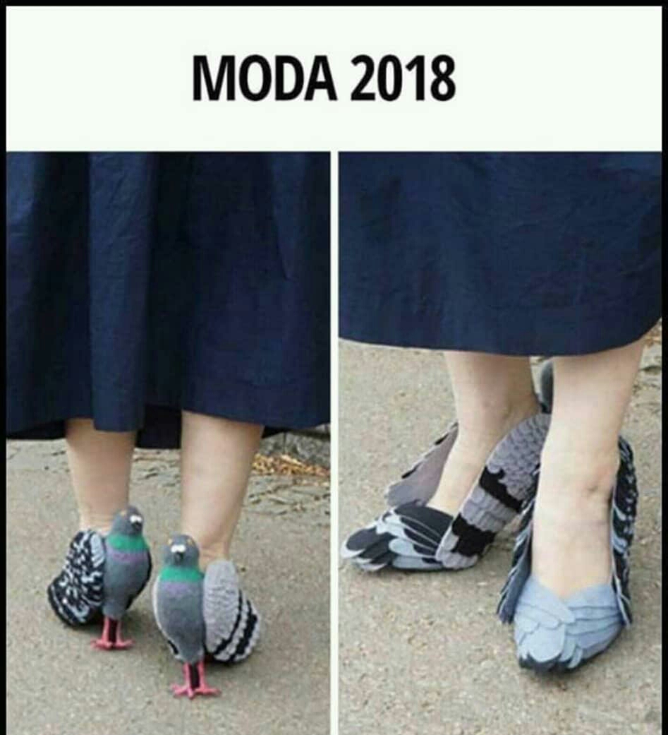 МООА 2018