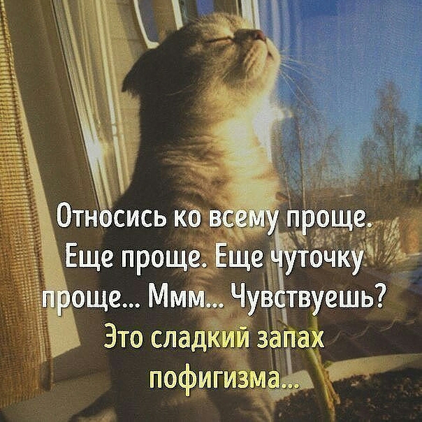 чг_ощеМмЁ Чв Это спад пофиги Ёжа