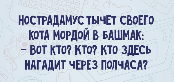 НОСТРАДАМУС ТЫЧЕТ СВОЕГО КОТА мордой В БАШМАК вот ктог ктог кто здЕсь НАГАдИТ ЧЕРЕЗ ПОЛЧАСА