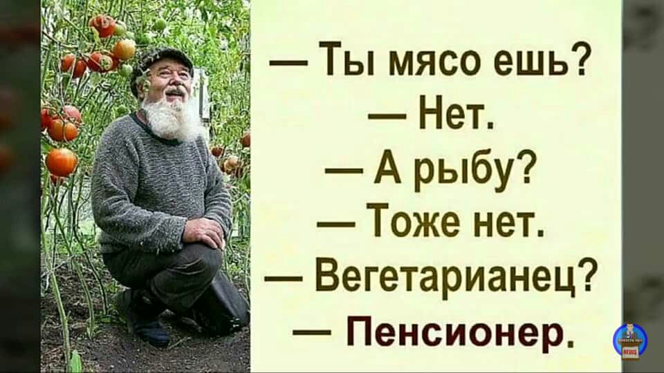 Ты мясо ешь Нет А рыбу Тоже нет Вегетарианец Пенсионер