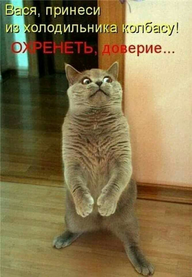 олоасу