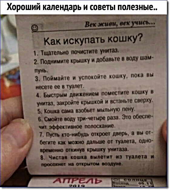 Как искупить кошку шалит мчит гв 2 мм крышку и добавьте воду шви ва ом воду пин четыре рш эт обвине Ч попоспиив 7ць пн пт бнпвшшошшоіммп Итщтт _Ч сш ппц и пут 3 Поймайте и успвкойъе кошку пока ин ищю ее в туалет Ь Бнсрни движением поместит концу этом крышкой и вывиьгв сверху 5 шт шт 1 пыльную пену