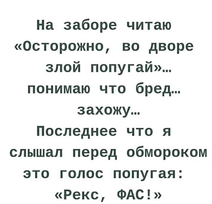 На заборе читаю Осторожно во дворе злой попугай понимаю что бред захожу Последнее что я слышал перед обмороком это голос попугая Рекс ФАС