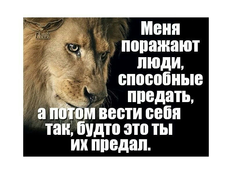 Меня поражают ЛЮДИ способные ППВДЁПЬ тан іидтп это ты их предал