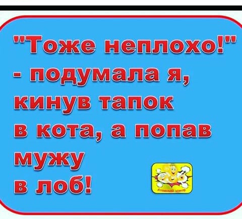 Теше ыеплехе дедумала _я кину тапок ката попав МУЖУ и в лоб
