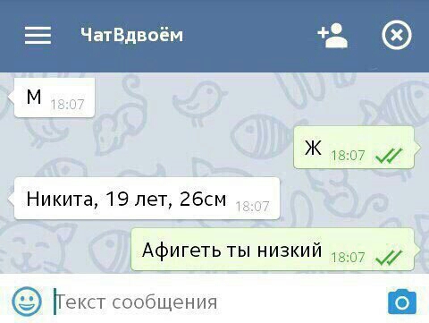 ЧатВдвоём М вт __ Никита 19 лет 26см Афигеть ты низки 307 Г Гекст сообщения
