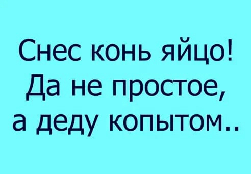 Снес конь яйцо Да не простое а деду копытом