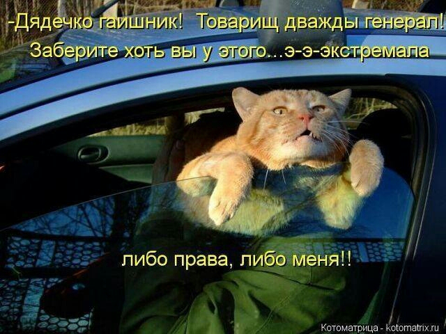 пибо права пибёійёнян Котимнтицн Коіотншх