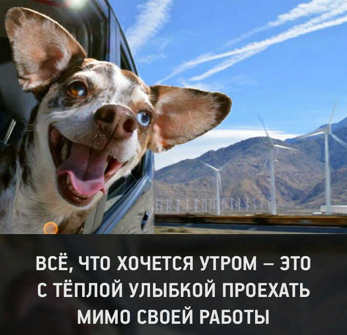 Я ВСЁ ЧТО ХОЧЕТСЯ УТРОМ ЭТО С ТЁПЛОЙ УЛЫБКОЙ ПРОЕХАТЬ МИМО СВОЕЙ РАБОТЫ