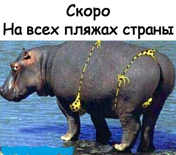 Скоро На всех пляжах страны ад _ 1 і да 34 7 44
