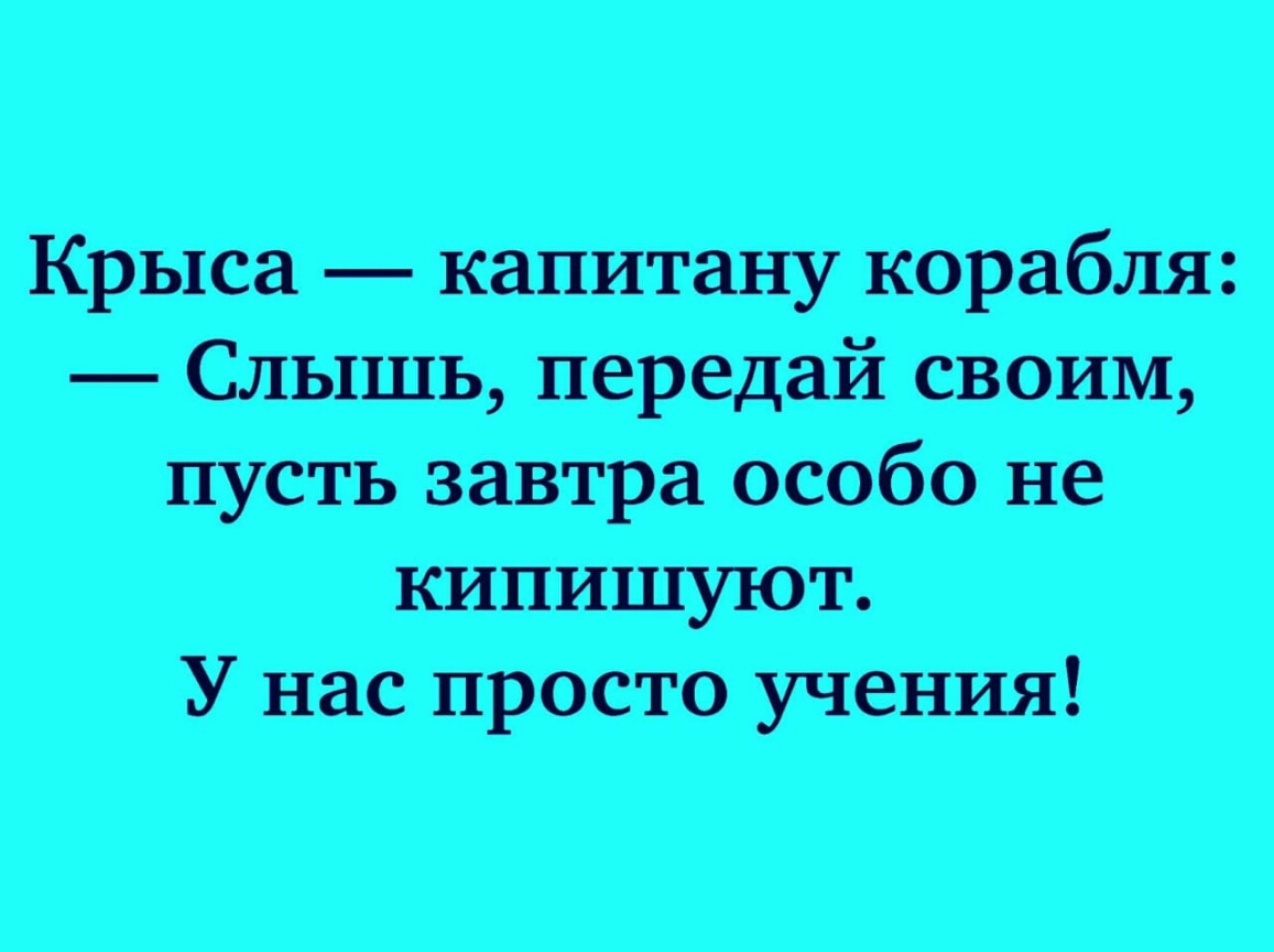 Крыса капитану корабля Слышь передай своим пусть завтра особо не кипишуют У нас просто учения