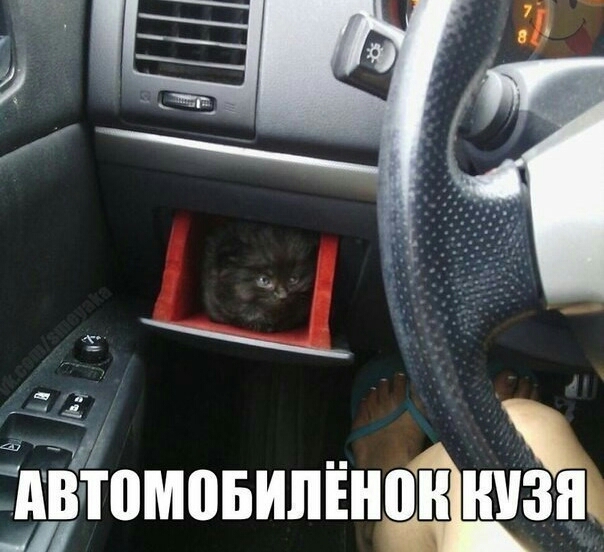 томовипънж