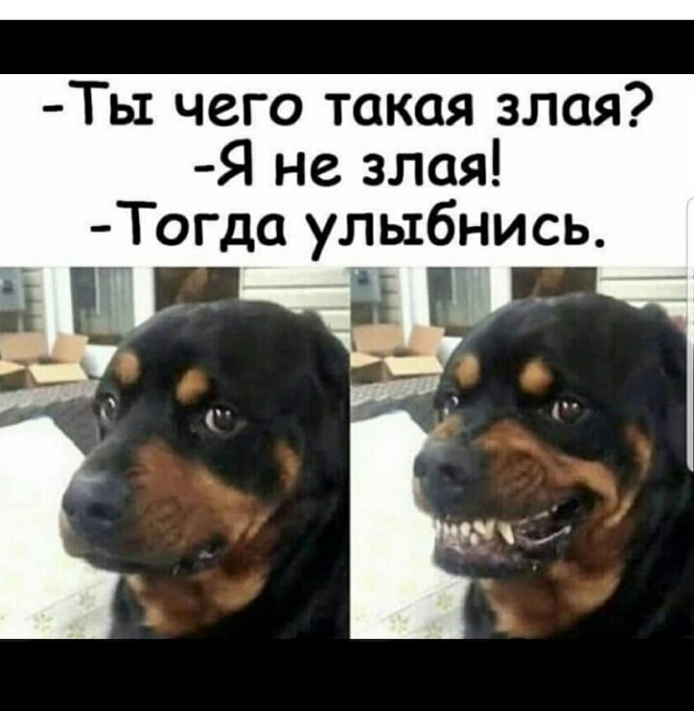 Ты чего такая злая Я не злая Тогда улыбнись