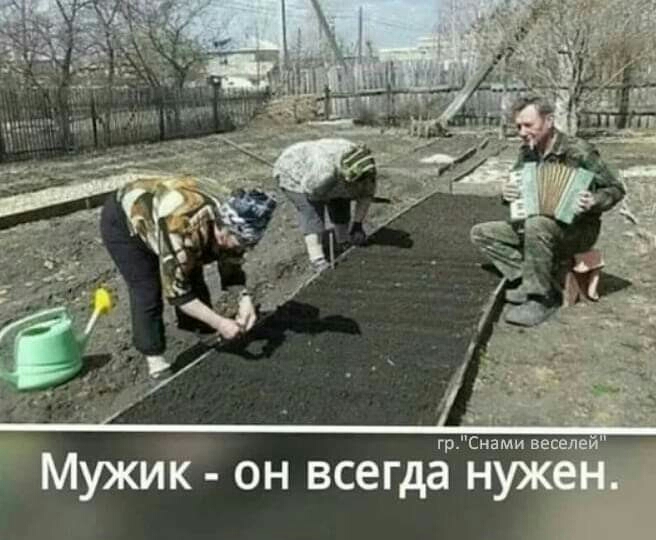 гр Снами вес Мужик он всегда нуж