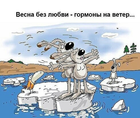 Весна без любви гормоны на ветер