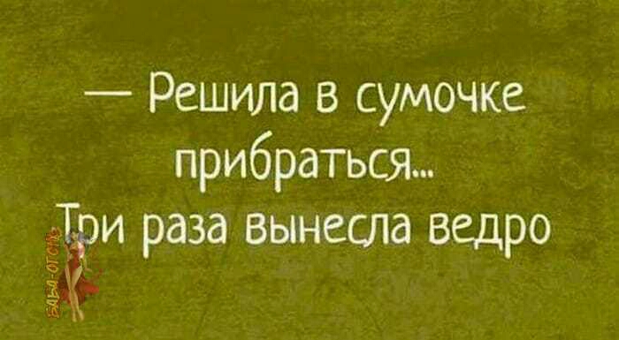 Решила в сумочке прибраться Дри раза вынесла ведро Ж