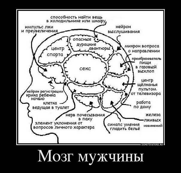 способнпаь найти вещь в холодильнике шкафу импульс лжи нейрон и преувеличения выслушиваиия опаснцк дурацкие о центр М о направлении спорю м и в газовый в Центр Щёпкпнья пультом рпгистриции крика ребенка ог телівизорц ночью тетка работ ведущая в Ууолет по дому нерв пвчешьания в паху элемент уклонения от Умения вопросов личного хпракгерп глади Бета илииснии Мозг мужчины