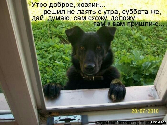Ёро доброе хозяйн решил не паять с утра суббота же