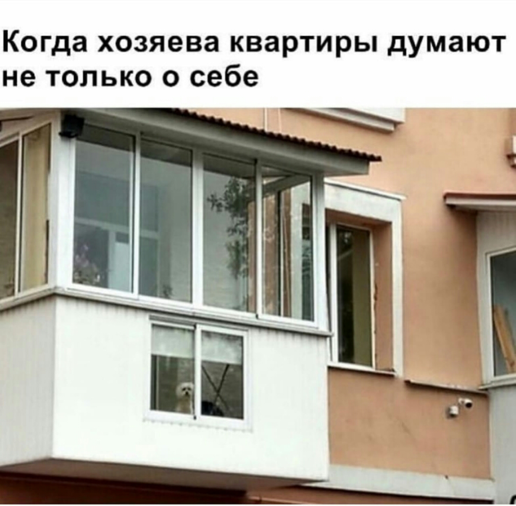 Когда хозяева квартиры думают не только о себе