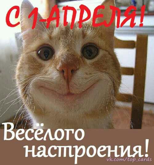 всёюго настрогШШ