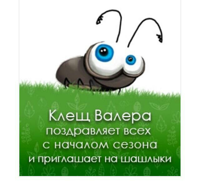 КАеЩ Всхера ПОЗАрОВАяеТ всех С НОЧОАОМ СЭЗОНО И примошоет НО ШОШАЫКИ