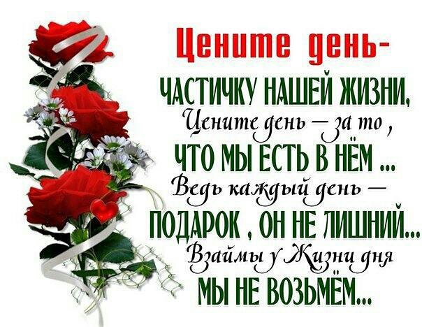135 мы _______ ді_ чмтичку ндшЁИ жизни Цснитскаснъ ТЗ то ЗЁЁЬ кялёыидснъ ПОДАРОК ОН НЕ ЛИШНИЙ ё301114113Ё5ітайн МЫ НЕ ВОЗЬМЕМ