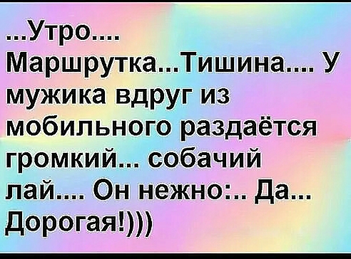 Утро МаршруткаТишина У мужика вдруг из мобильного раздаётся громкий собачий пай Он нежно да дорогая