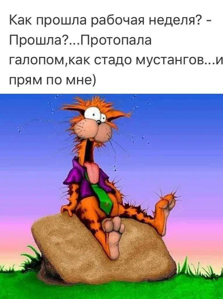 Как прошла рабочая неделя ПрошлаПротопала галопомкак стадо мустангови прям по мне