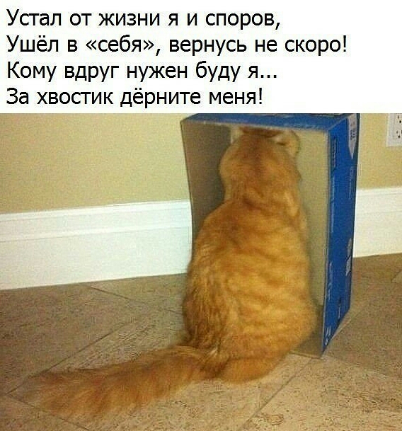 Устал от жизни я и споров Ушёл в себя вернусь не скоро Кому вдруг нужен буду я За хвостик дёрните меня