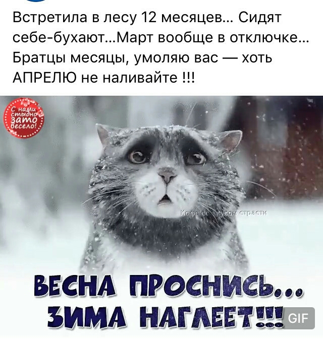 Встретипа в лесу 12 месяцев Сидят себе бухаютМарт вообще в отключке Братцы месяцы умоляю вас хоть АПРЕЛЮ не наливайте