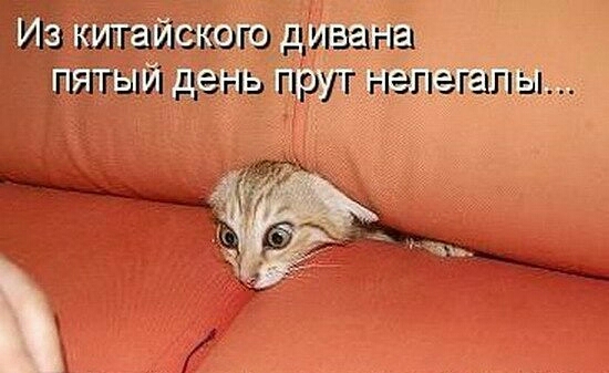Её зшэггатйіского дива на ень прут нелегалы Штат