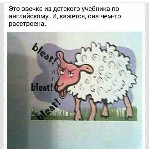 Это овечка из детского учебника по английскому И кажется она чемто расстроена