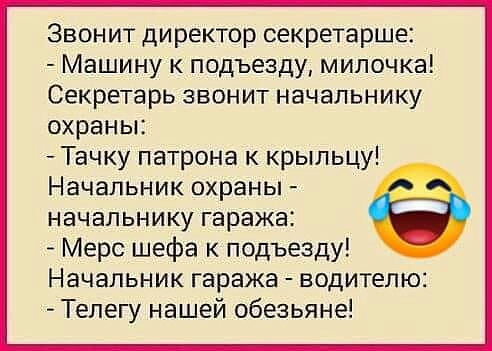 Звонит директор секретарше Машину к подъезду милочка Секретарь звонит начальнику охраны Тачку патрона к крыльцу Начальник охраны начальнику гаража Мерс шефа к подъезду Начальник гаража водителю Телегу нашей обезьяне