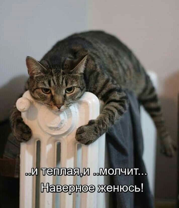 о