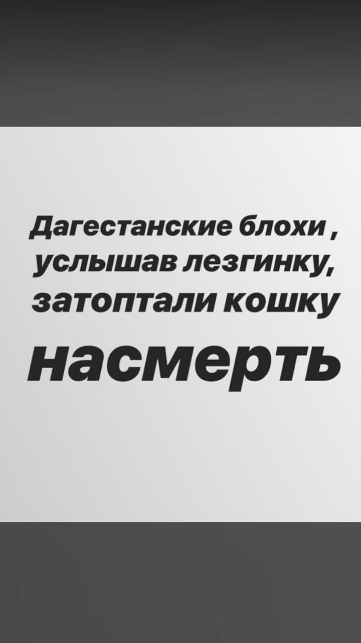 дагестанские блохи услышав лезгинку затоптали кошку насмерть
