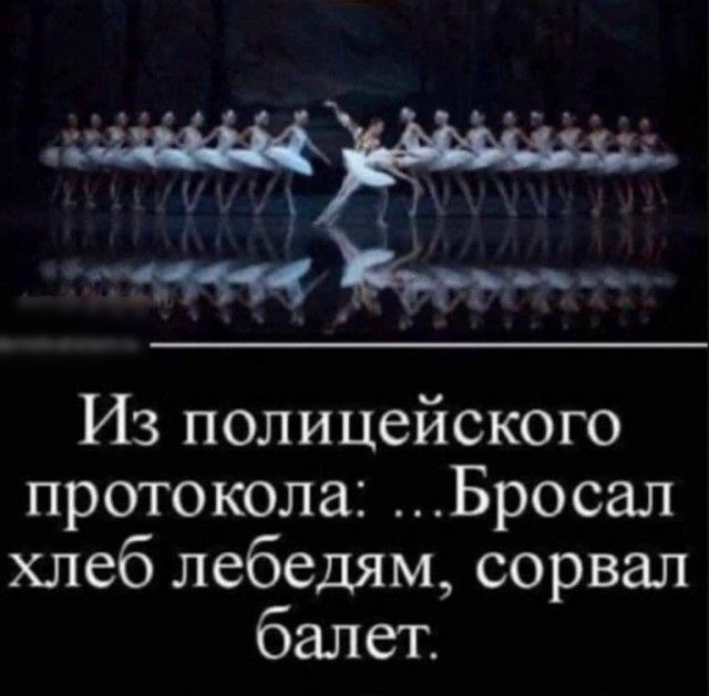 Из полицейского протокола Бросал хлеб лебедям сорвал балет
