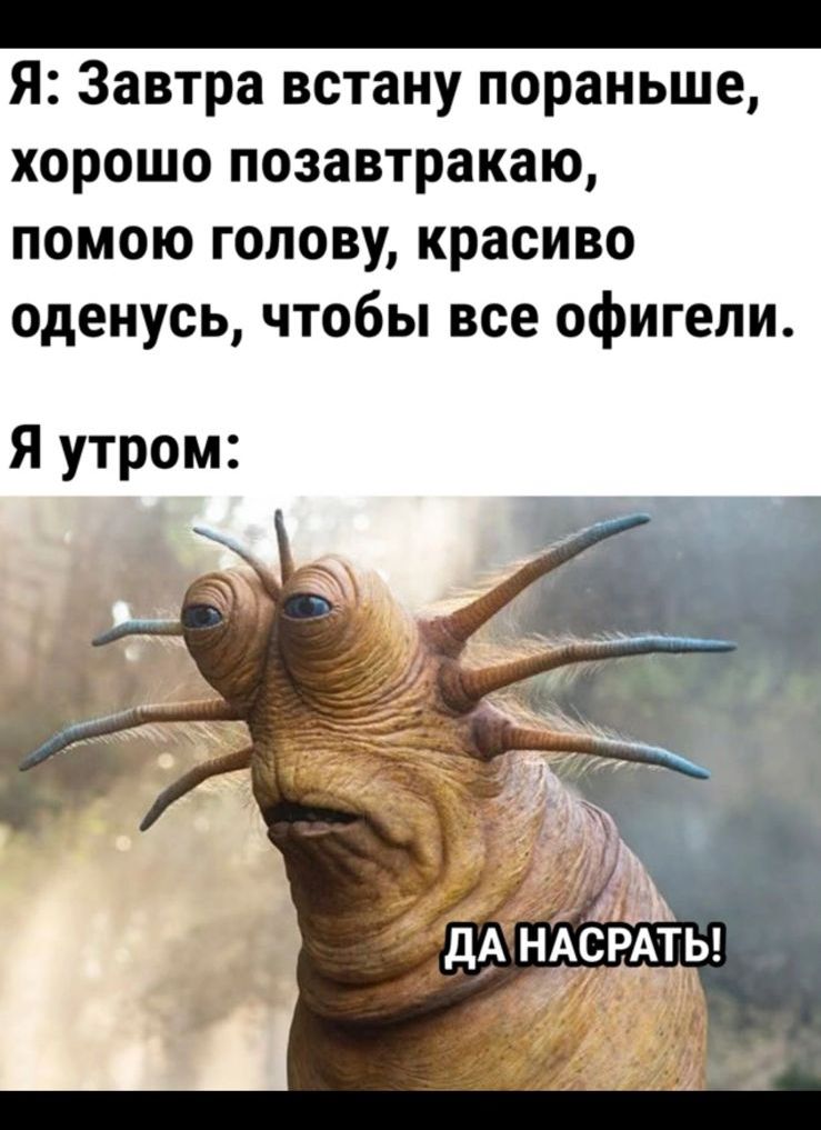 _ Я Завтра встану пораньше хорошо позавтракаю помою голову красиво оденусь чтобы все офигели Я утром