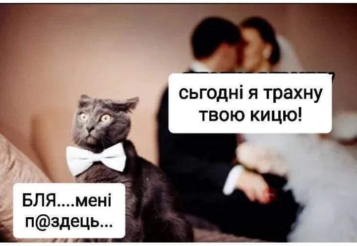 сьгодні я трахну твою кицю БЛЯмені п здець к