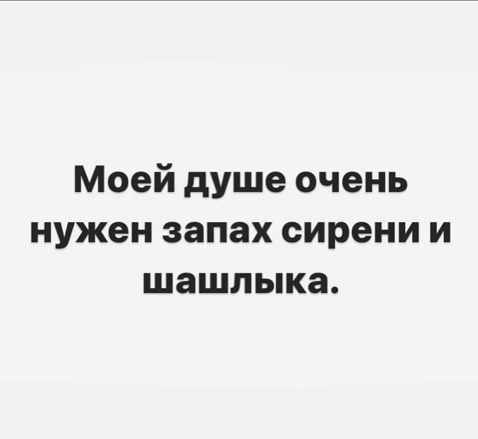 Моей душе очень нужен запах сирени и шашлыка