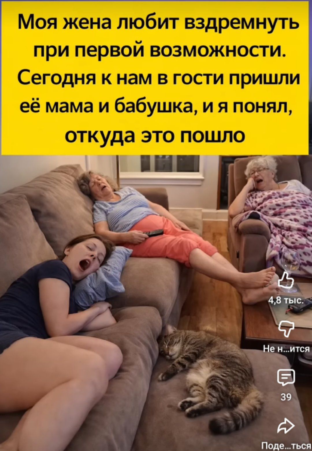 Моя жена любит вздремнуть при первой возможности. Сегодня к нам в гости пришли её мама и бабушка, и я понял, откуда это пошло