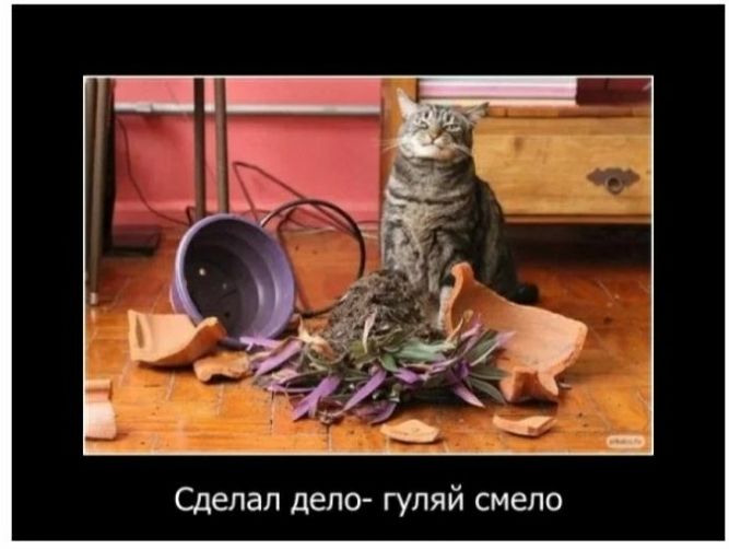 Сделал дело гуляй смело
