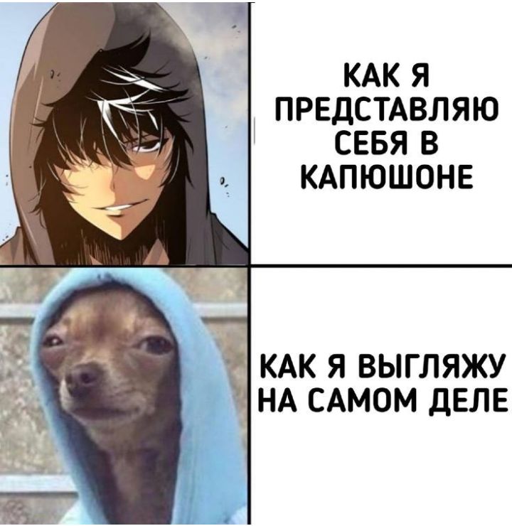 КАК Я ПРЕДСТАВЛЯЮ СЕБЯ В КАПЮШОНЕ КАК Я ВЫГЛЯЖУ НА САМОМ ДЕЛЕ