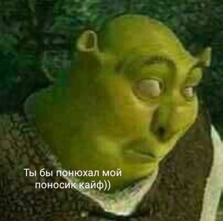 Ты бы понос