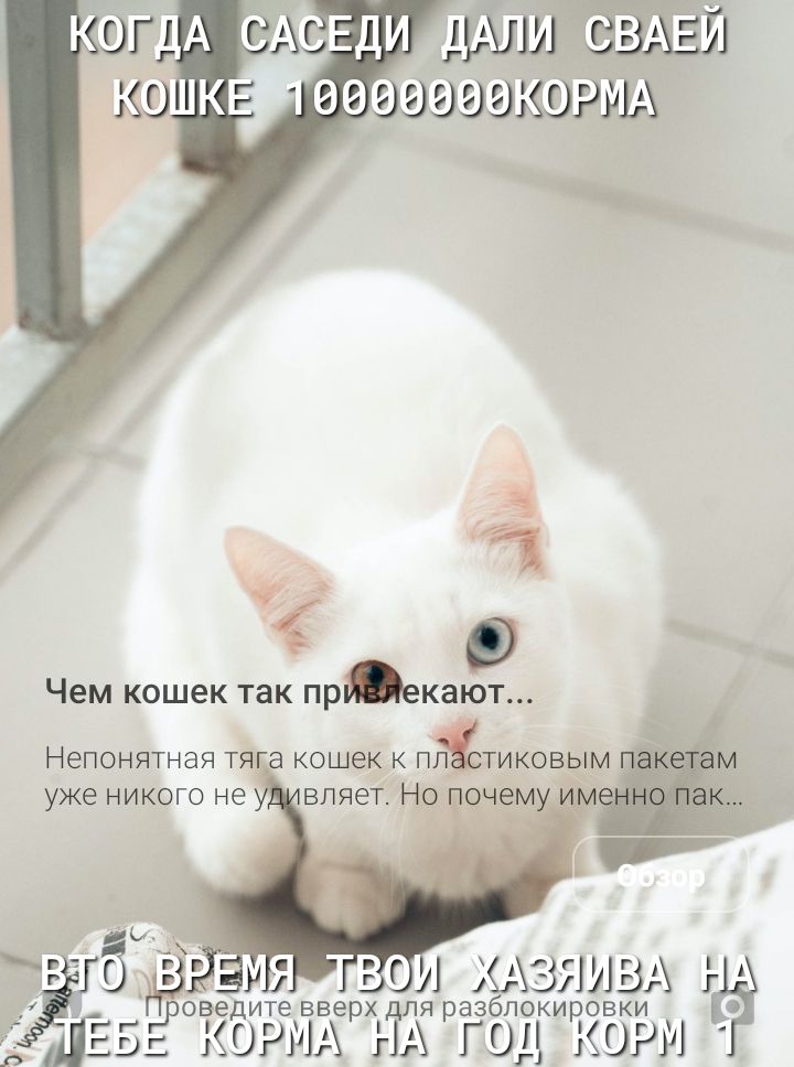 а Чем кошек так прекают НЕПОНЯТНЭЯ ТЯ а КОШЕК К ПТИКОВЬМ Г ХАЗЯИВАг г _дгьгрове дите вверх ДЛЯ разблокировки КОРЫ НА Г 31 КОРМ гг